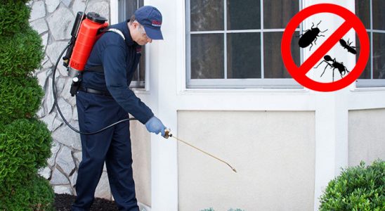 Tepebaşı Pire İlaçlama böcek ilaçlama ve haşere kontrolü — ilaclama-tr.com
